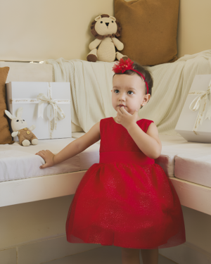 VESTIDO EVANGELINE 453